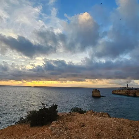 With Beautiful Sea Views, Pool & Spacious Gardens & Great For Remote Work